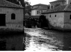 dettagli evento